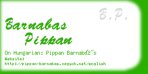 barnabas pippan business card